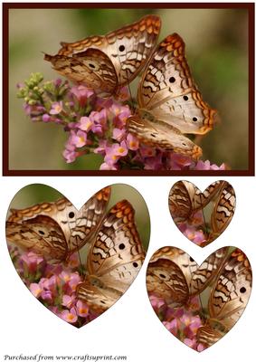Butterfly Couple Heart Shaped Pyramid