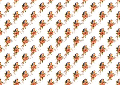 Christmas Robins with Poinsettias Backing Paper