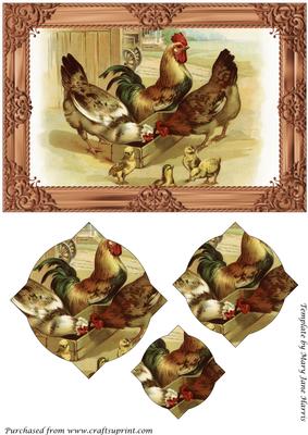 Farm Chickens Splendid Pyramid