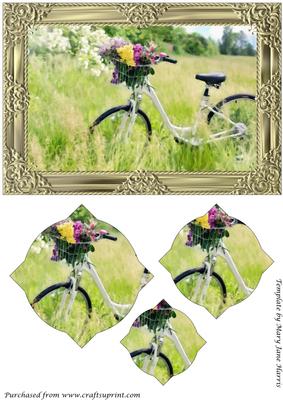 Bicycle with Flowers Splendid Pyramid