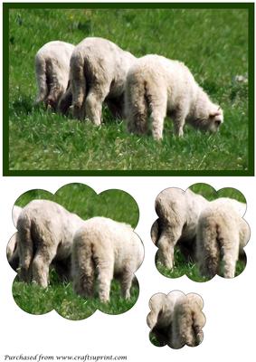 Three Little Lambs Scalloped Pyramid