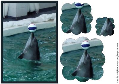 Playing Dolphin Scalloped Pyramid