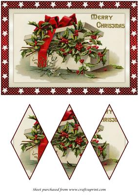 Christmas Gift Box with Holly Diamond Panel Card