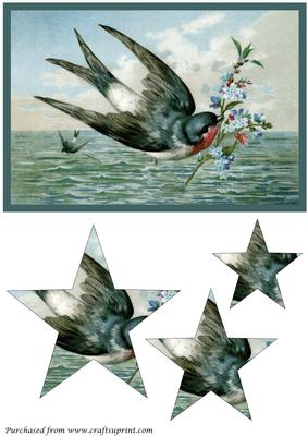Vintage Bird with Flowers Star Pyramid