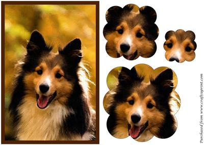 Sheltie Dog Scalloped Pyramid