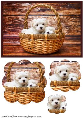 Cute Puppies in Basket Scalloped Pyramid