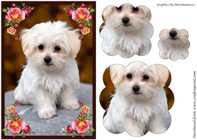 Cute Puppy Scalloped Pyramid