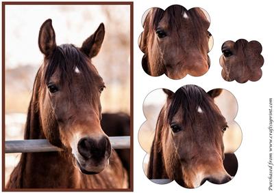 Arabian Horse Scalloped Pyramage