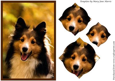 Sheltie Dog Splendid Pyramid
