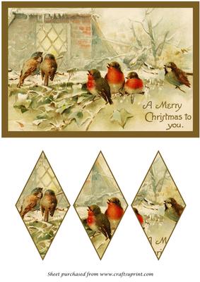 Christmas Birds Diamond Panel Card