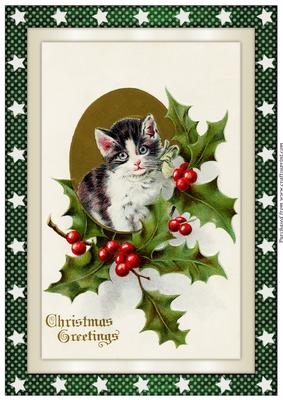 Vintage Christmas Kitten A4