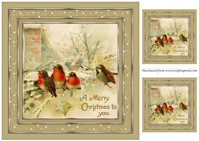 Christmas Birds Topper