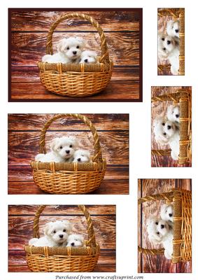 Cute Puppies in Basket Pyramid