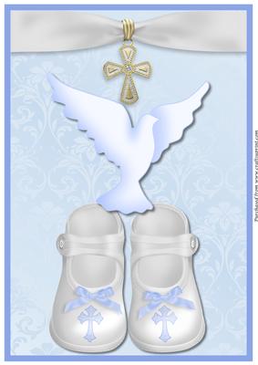 Baby Boy Booties and Dove A4