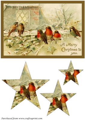 Christmas Birds Star Pyramid