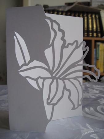 Flower Card 1