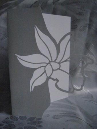 Flower Card 2
