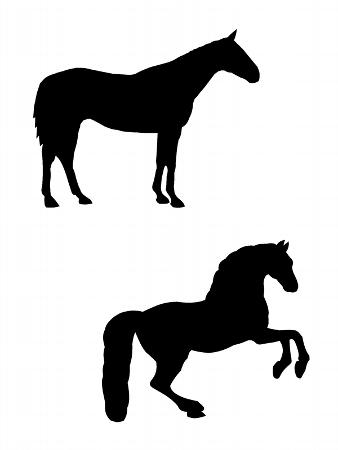 Horse Silhouettes