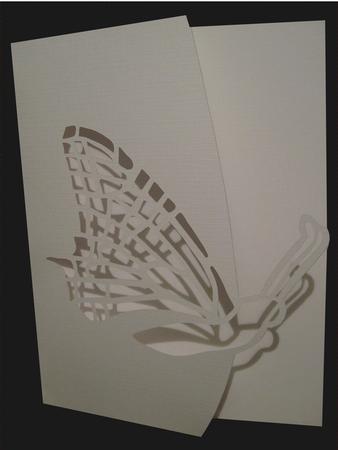 Over the Edge Butterfly Craft Pattern