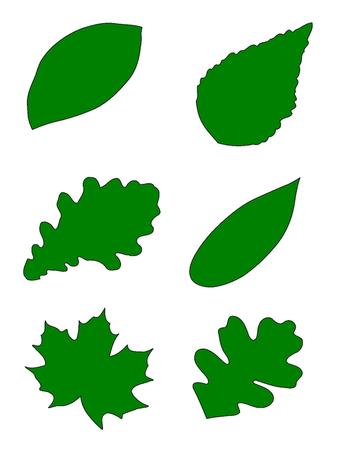 Leaves 1