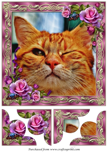 Cute Funny Cat Quadro Petal Corner Stacker