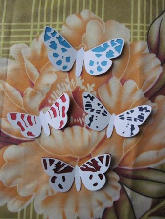Butterflies Set 3