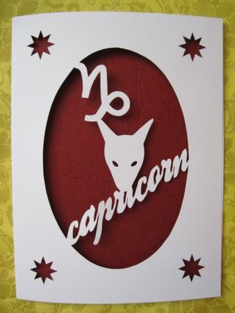 Capricorn Zodiac Sign