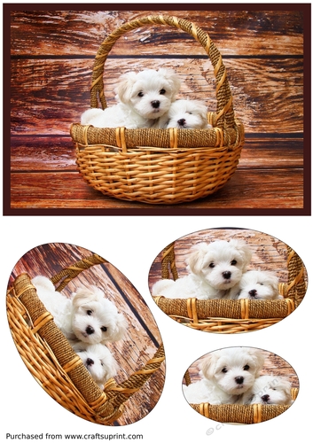 Cute Puppies in Basket Oval Pyramid