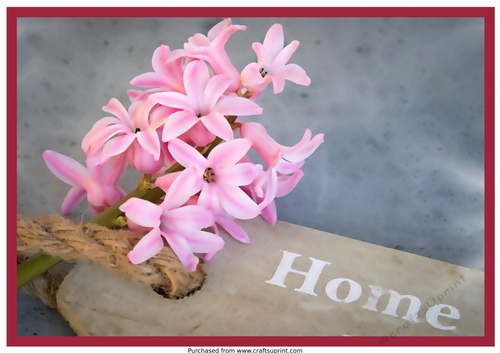 New Home Hyacinth A4