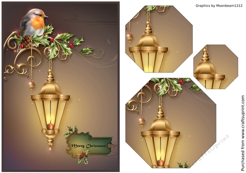 Christmas Robin on Street Lamp Octagon Pyramid