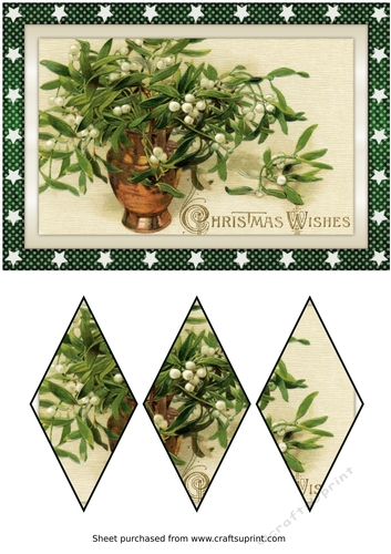 Christmas Mistletoe in Vase Diamond Panel Card