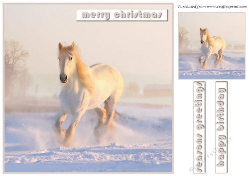 White Horse in Snow Topper