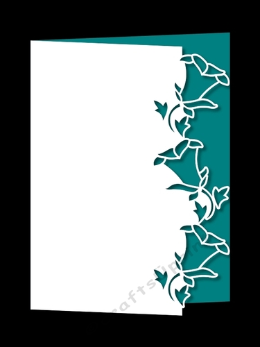 BLOSSOM BORDER OVER THE EDGE 5