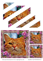 Cute Funny Cat Oblique Panels