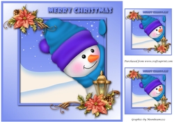 Curious Snowman Topper