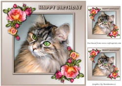 Cat Topper 3