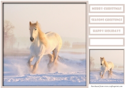 White Horse in Snow Quick Card