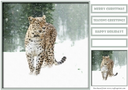 Christmas Snow Leopard Quick Card