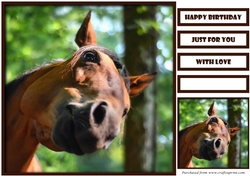 Funny Horse Quick Card 2