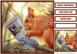 Funny Squirrel Quick Card