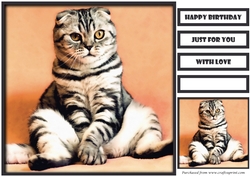 Funny Cat Quick Card 4