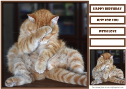 Funny Cat Quick Card 7