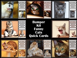 Bumper Kit Funny Cats Quick Cards