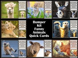 Bumper Kit Funny Animals Quick Cards