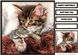 Cute Cat Quick Card 1
