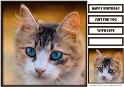 Cute Cat Quick Card 2