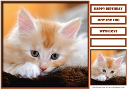 Cute Cat Quick Card 3
