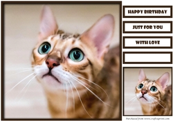 Cute Cat Quick Card 5