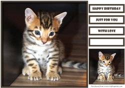 Cute Cat Quick Card 7