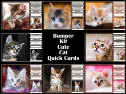 Bumper Kit Cute Cat Quick Cards